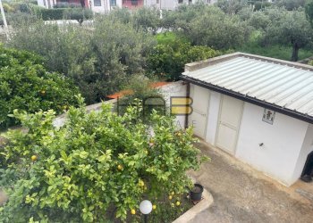 15ecaddc-27bd-4c3b-8ffa-9ac563e80c77.jpg - Villa Paceco - photo 13