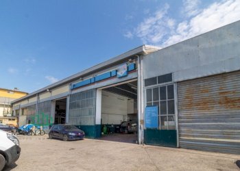 Capannone Via Paolo Fabbri, Castel Maggiore - foto 4