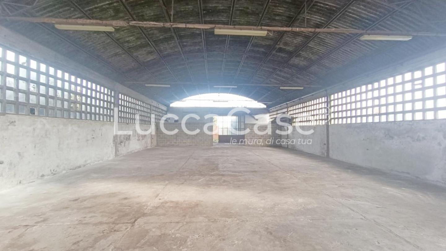 Warehouse Capannori - photo 3