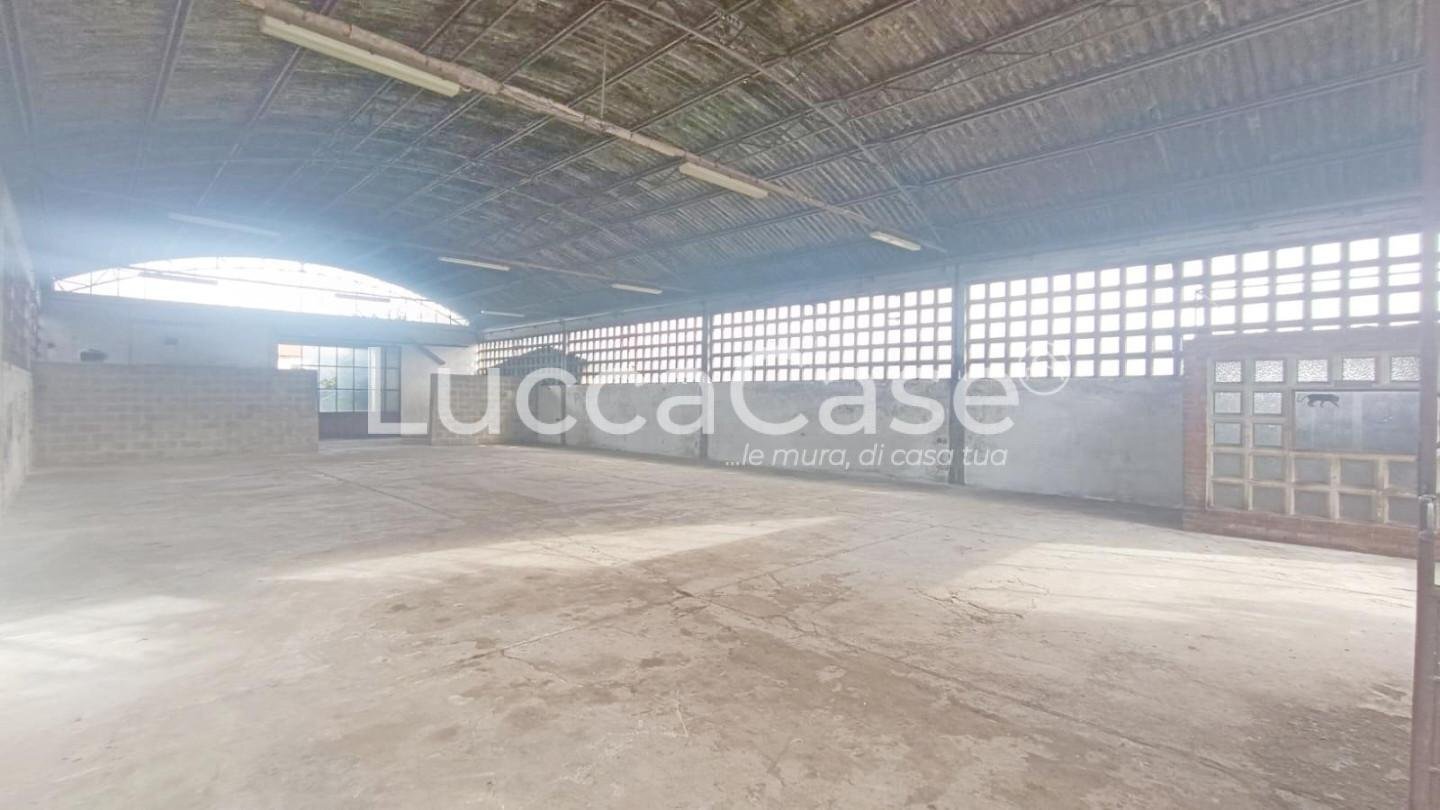 Warehouse Capannori - photo 2