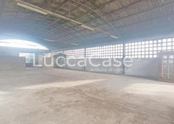 Warehouse Capannori - photo 2