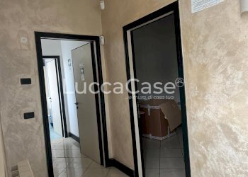 Shed Lucca (neighborhood San Marco) - photo 5