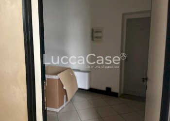 Shed Lucca (neighborhood San Marco) - photo 9