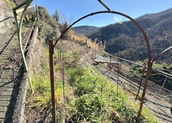 Casa semi indipendente Via raffaello sanzio, Sant'Olcese - foto 22