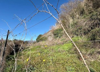 Casa semi indipendente Via raffaello sanzio, Sant'Olcese - foto 37