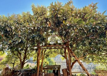 Casa semi indipendente Via raffaello sanzio, Sant'Olcese - foto 2