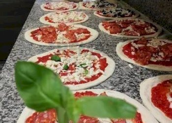 Commercial Activity Via Palazzo di Giustizia, 21B 
 Biella, Biella - photo 7