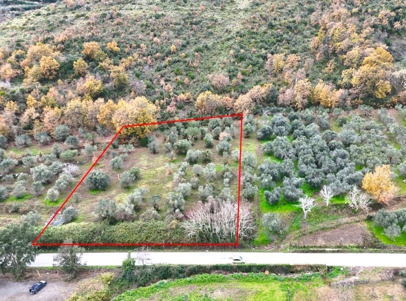 Terreno agricolo Carinola - foto 1