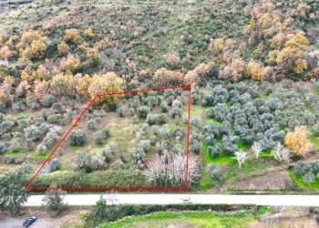 Terreno agricolo Carinola - foto 1