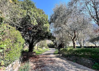 Villa Via Montecolo, 9
Pilzone, Iseo - photo 40