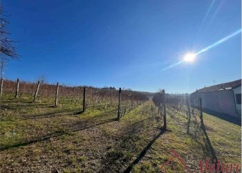 Rustico Borgata Castagni, 7, La Morra - foto 7