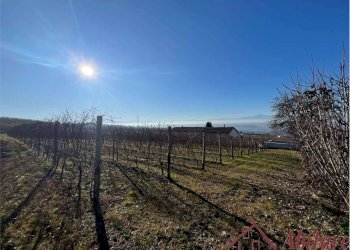 Rustico Borgata Castagni, 7, La Morra - foto 28