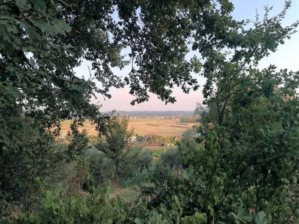 Rustico Santa Maria a Monte - foto 2