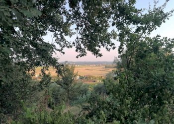 Rustico Santa Maria a Monte - foto 2