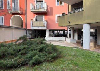 One-room apartment Via Garofalo, Milano (neighborhood Città Studi) - photo 23