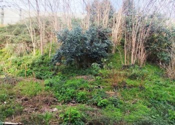 Trilocale via Fegino, Genova (zona Rivarolo) - foto 9