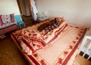 Foto 12 - Quadrilocale Via Modena
 
193, Ferrara - foto 12