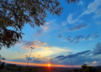 Foto 9 - Agriturismo Montespertoli - foto 9