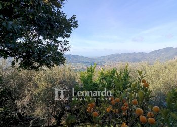 Foto 22 - Casa indipendente Via Scarpello, Camaiore - foto 19