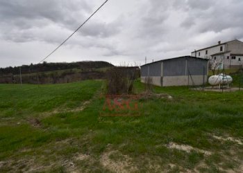 Foto 5 - Terreno agricolo Contrada Schito, Sarnano - foto 5