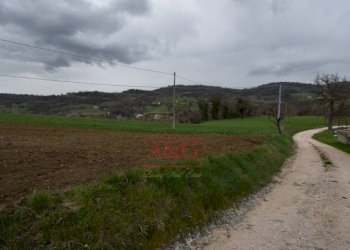 Foto 6 - Terreno agricolo Contrada Schito, Sarnano - foto 6