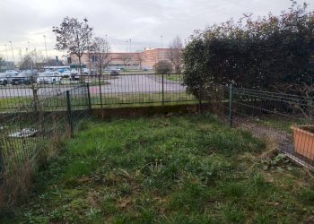 Giardino - Appartamento Via Madonna
 
61, San Martino Siccomario - foto 12