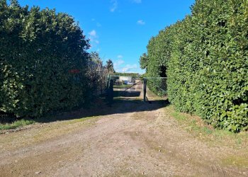 Giardino - Rustic via don sturzo, Marcallo con Casone - photo 4