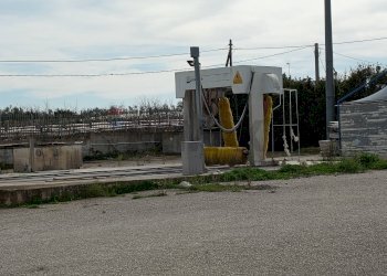 Edificio all\'aperto - Capannone Strada Provinciale 94 Casamassima, Noicàttaro - foto 11