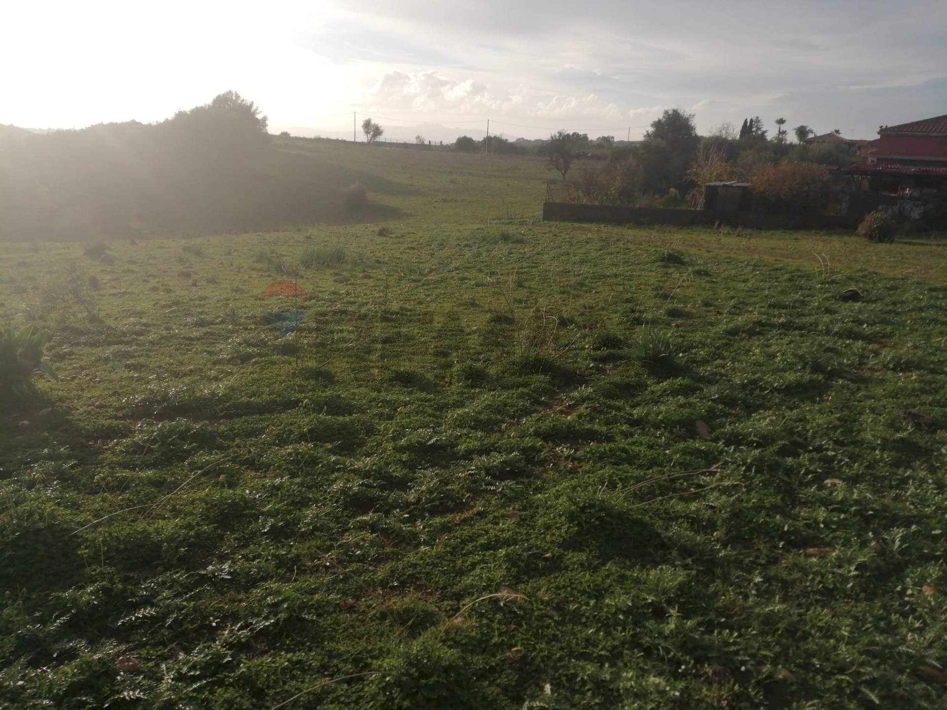 Giardino - Terreno edificabile Contrada Porticatazzo, Motta Sant'Anastasia - foto 3