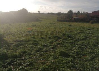 Giardino - Terreno edificabile Contrada Porticatazzo, Motta Sant'Anastasia - foto 3