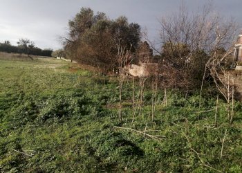 Giardino - Terreno edificabile Contrada Porticatazzo, Motta Sant'Anastasia - foto 4