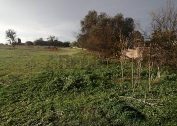 Giardino - Terreno edificabile Contrada Porticatazzo, Motta Sant'Anastasia - foto 5