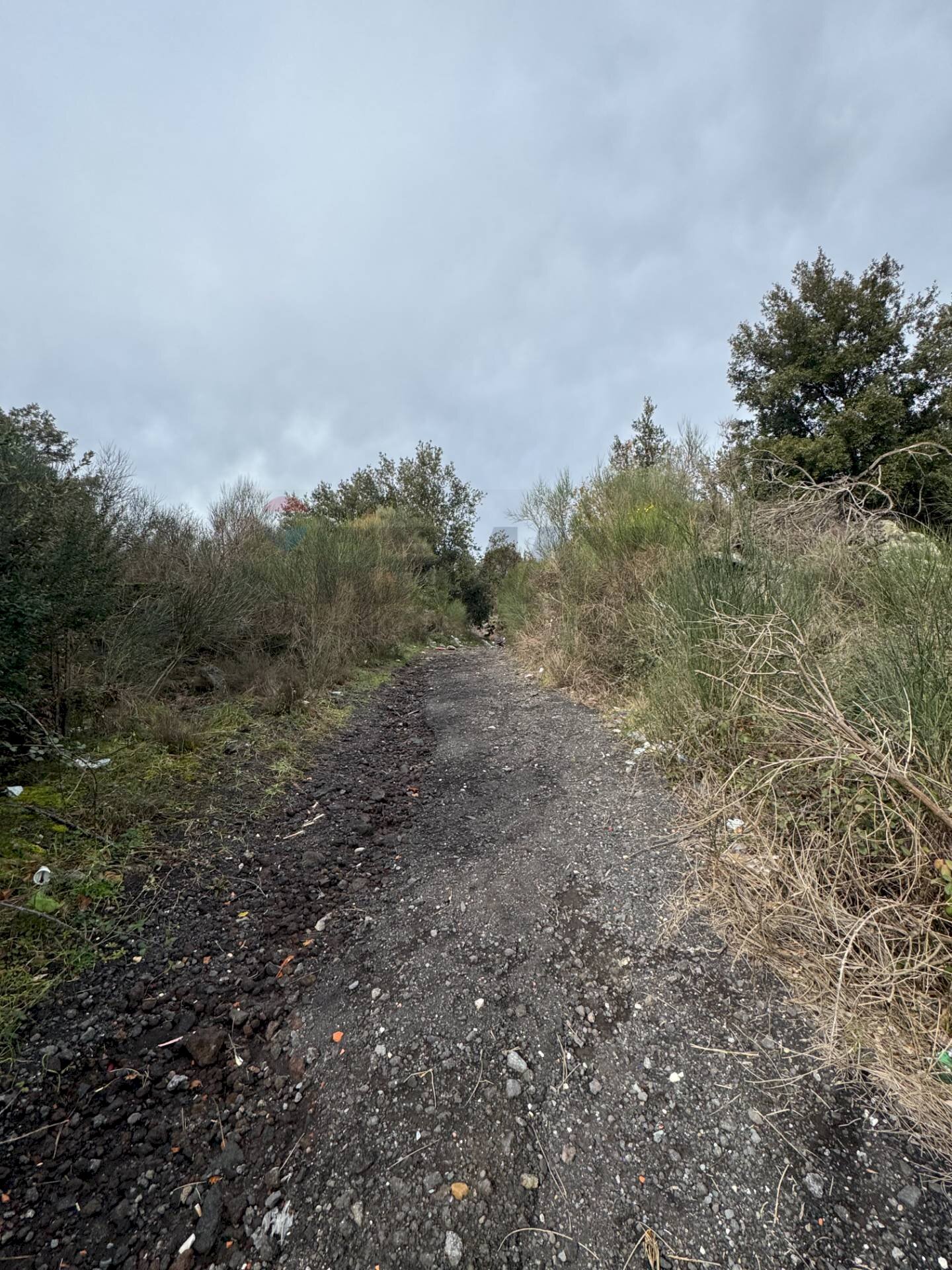 Vista delle montagne - Agricultural land Via della Regione
 
snc, Pedara - photo 2