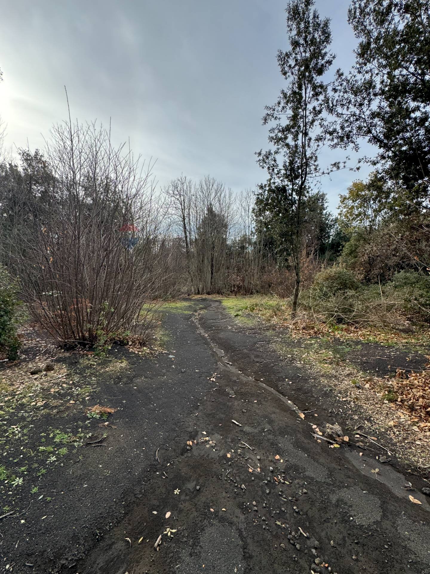 Giardino - Agricultural land Via della Regione
 
snc, Pedara - photo 3