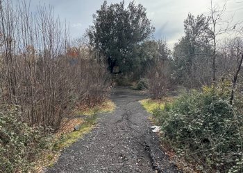 Giardino - Agricultural land Via della Regione
 
snc, Pedara - photo 1