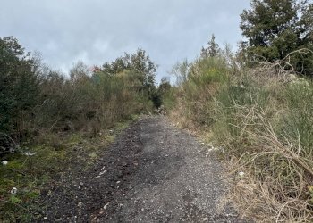 Vista delle montagne - Agricultural land Via della Regione
 
snc, Pedara - photo 2