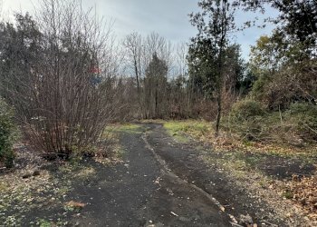 Giardino - Agricultural land Via della Regione
 
snc, Pedara - photo 3