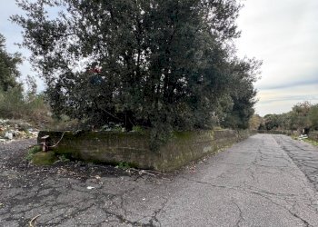 Non correlato - Agricultural land Via della Regione
 
snc, Pedara - photo 6