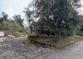 Giardino - Agricultural land Via della Regione
 
snc, Pedara - photo 7