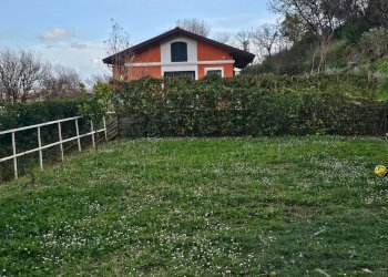 Giardino - Casa indipendente Via Umberto D'agostino, Salerno - foto 8