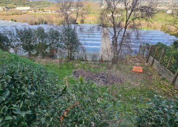 Giardino - Casa indipendente Via Umberto D'agostino, Salerno - foto 12