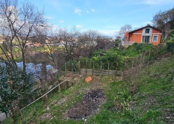 Giardino - Casa indipendente Via Umberto D'agostino, Salerno - foto 23