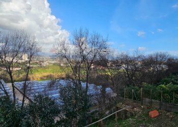 Giardino - Casa indipendente Via Umberto D'agostino, Salerno - foto 26