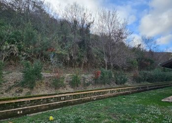 Giardino - Casa indipendente Via Umberto D'agostino, Salerno - foto 89