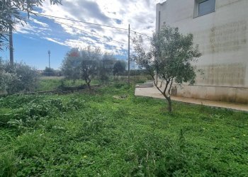 Giardino - Locale Commerciale VIA SAN LUCA
1, Augusta - foto 13