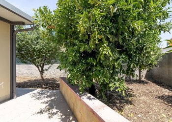 Terrazza - Villa via Umberto Nobile
 
36, Siracusa - foto 4