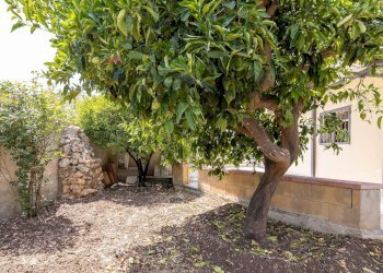 Giardino - Villa via Umberto Nobile
 
36, Siracusa - foto 47