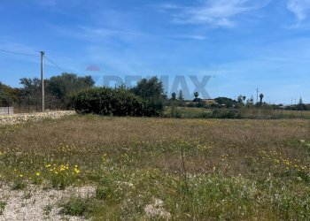 Giardino - Terreno edificabile contrada vignali, Augusta - foto 5