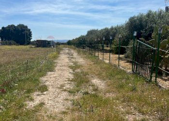 Giardino - Terreno edificabile contrada vignali, Augusta - foto 8