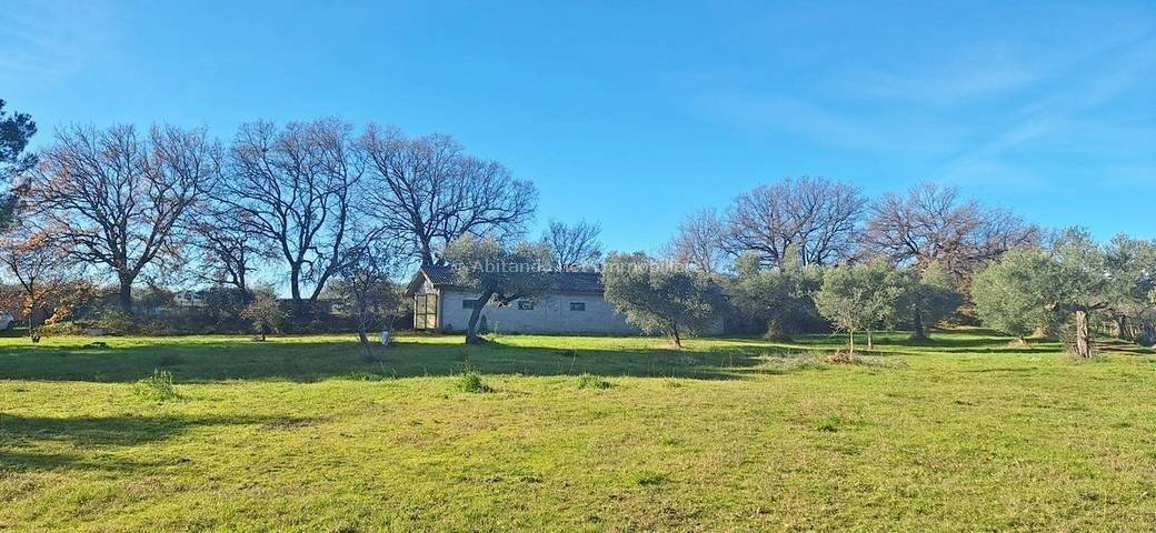 Foto 2 - Magazzino C.da Sablanico, Loreto Aprutino - foto 2